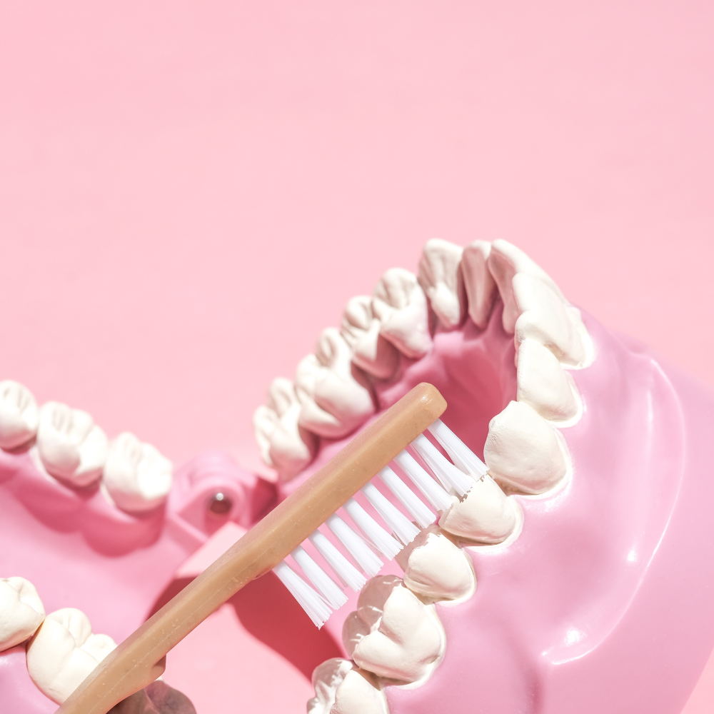 Higiene Oral