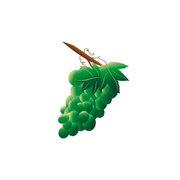 Elásticos Intraorales 5/16" 6 oz. Uva