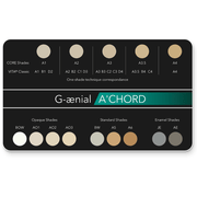 Kit Composite Universal G-Aenial A’CHORD Nanohíbrido GC