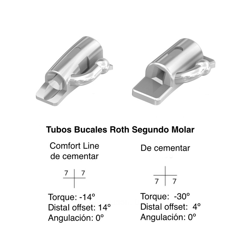 Tubos Bucales de Cementar Segundo Molar Roth Forestadent